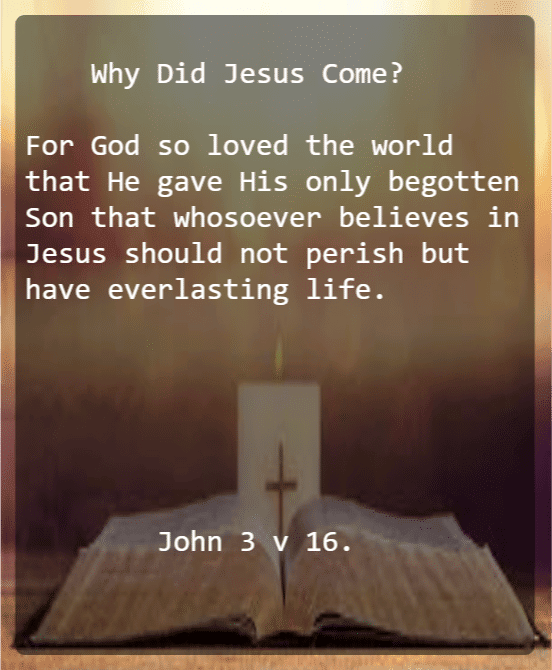 JOHN 3 V 16