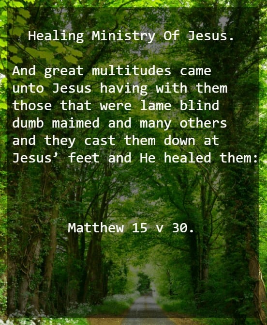 JESUS HEALS MULTITUDE