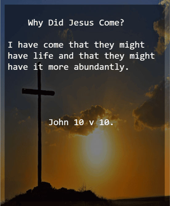 JOHN 10 V 10.